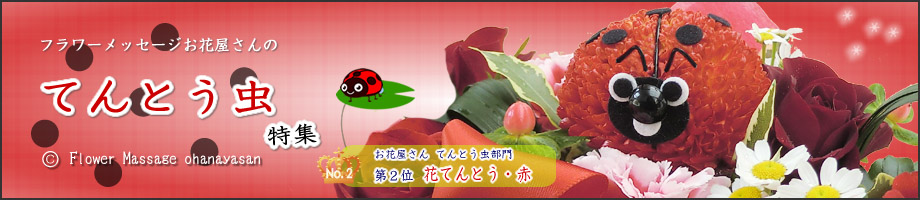 フラワーメッセージお花屋さんのてんとう虫特集