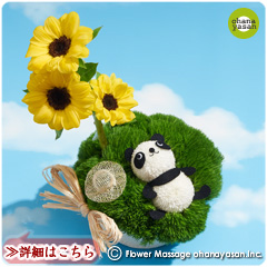 おひるね花パンダ・ひまわり