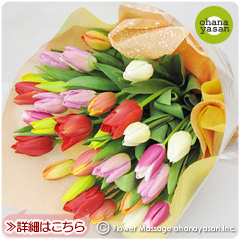 チューリップの花束MIX30本