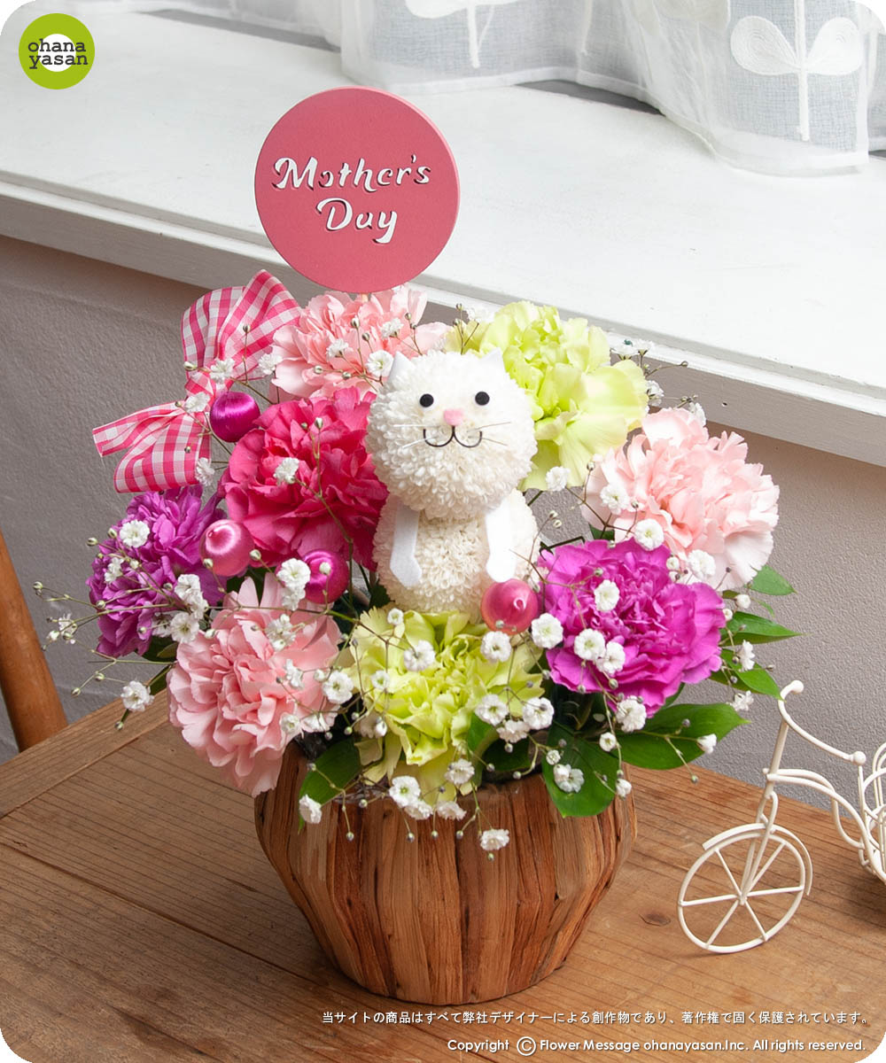 可愛いねこの花 母の日プレゼントで人気のかわいい猫の花